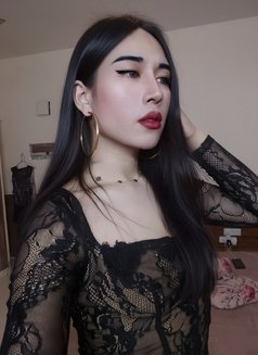 Jameelah Available Now - Transsexual escort in Muscat Photo 26 of 26