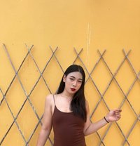 Jameelah Gubra vip - Transsexual escort in Muscat