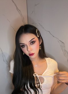 Jamela Ladyboy Super Model Thailand Both - Transsexual escort in Abu Dhabi Photo 10 of 11