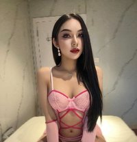 Jamela Ladyboy Super Model Thailand Both - Transsexual escort in Abu Dhabi