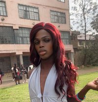 James - Transsexual escort in Nairobi