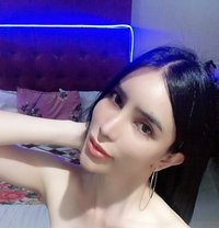JAMILA (greatTasteInMe) - Transsexual escort in Mumbai