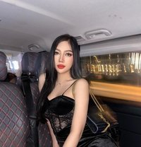 Jamila Hot Ladyboy From Thailand - Transsexual escort in Abu Dhabi