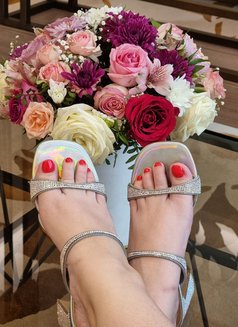 Jamila Mistress and classic service - companion in Dubai Photo 21 of 24