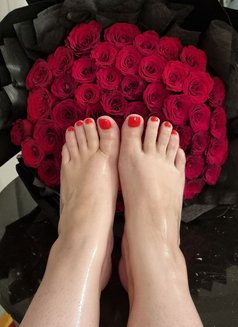 Jamila Mistress and classic service - companion in Dubai Photo 24 of 24
