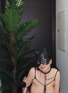 Jamila mistress - Masajista in Al Manama Photo 7 of 26