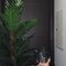 Jamila mistress with ladyboy - Masajista in Al Manama Photo 4 of 17