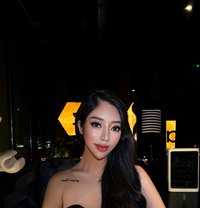 Jamila VIP - Transsexual escort in Jeddah