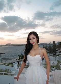 Jamila habibi - Transsexual escort in Jeddah Photo 9 of 10