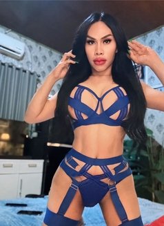 Sexy jamilah top & bottom - Transsexual escort in Bali Photo 7 of 15