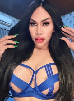 Sexy jamilah top & bottom - Transsexual escort in Bali Photo 13 of 15