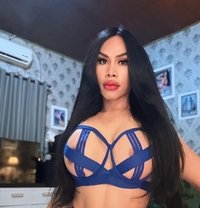 Sexy jamilah top & bottom - Acompañantes transexual in Bali