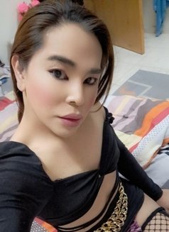 Jamilax with relax - Transsexual escort in Dammam Photo 13 of 14