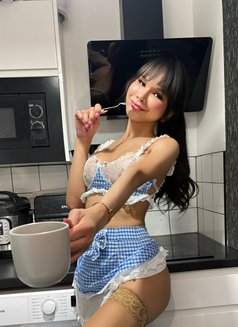 JAMMIE THAI TS - Transsexual escort in London Photo 20 of 20