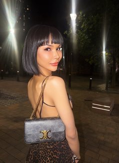 JAMMIE THAI TS - Transsexual escort in London Photo 11 of 20