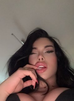 kati - Acompañantes transexual in Stockholm Photo 4 of 6