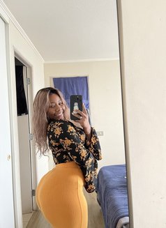 Jane - escort in Barcelona Photo 1 of 3