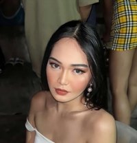 Jane - Transsexual escort in Cebu City