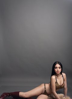 Jane The International Ambassadress - Transsexual escort in Bangkok Photo 28 of 28