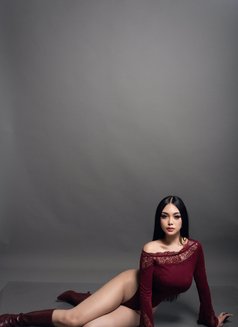 Jane The International Ambassadress - Transsexual escort in Bangkok Photo 25 of 27