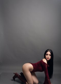 Jane The International Ambassadress - Transsexual escort in Bangkok Photo 27 of 27