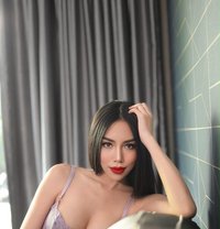 Jane Topthailadyboy - Transsexual escort in Riyadh