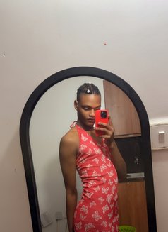 Janedoe - Transsexual escort in Malindi Photo 4 of 6