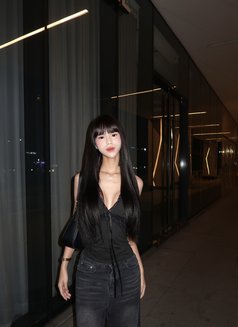 Janelexicruz - Transsexual escort in Manila Photo 1 of 3