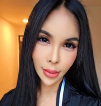 JANELLA LEE IS BACK TO MAKE YOU HAPPY - Acompañantes transexual in Kuala Lumpur
