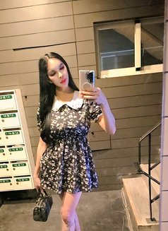JANELLA LEE IS BACK TO MAKE YOU HAPPY - Transsexual escort in Taipei Photo 30 of 30