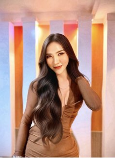 Janevong - Acompañantes masculino in Chiang Mai Photo 1 of 14