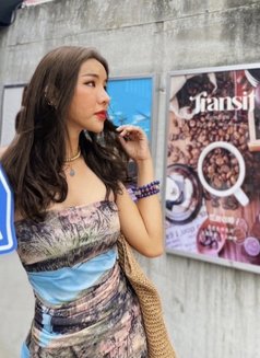 Janevong - Acompañantes masculino in Chiang Mai Photo 12 of 14