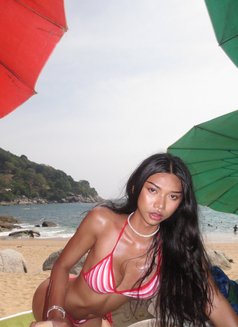 Janis - Acompañantes transexual in Pattaya Photo 7 of 8