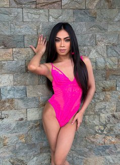 Your tiny ts with a big cock - Transsexual escort in Bangkok Photo 9 of 17