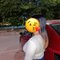 Jannat - escort in Chandigarh