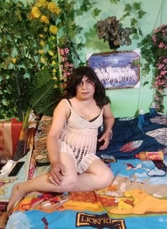 Jannat Sharma - Transsexual escort in Faridabad Photo 8 of 30