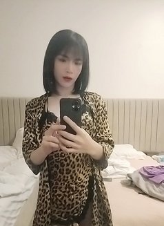 Janny - Transsexual escort in Phuket Photo 8 of 8