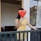 Janvi Cam or Meet - escort in Gurgaon Photo 2 of 5