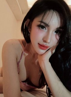 Japanese doll just arrived! - escort in Kuala Lumpur Photo 26 of 26