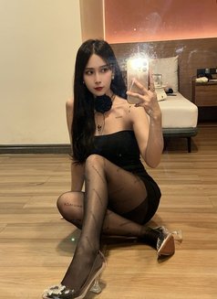 KOREAN DOLL HANNA KIM - escort in Singapore Photo 1 of 8