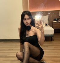 KOREAN DOLL HANNA KIM - escort in Singapore