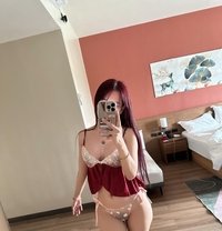 KOREAN DOLL HANNA KIM - escort in Singapore