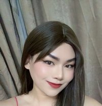 Jasmin Gay Ladyboy TH - Transsexual escort in Muscat