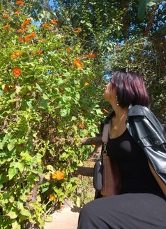 Jasmin - escort agency in Kathmandu Photo 1 of 4