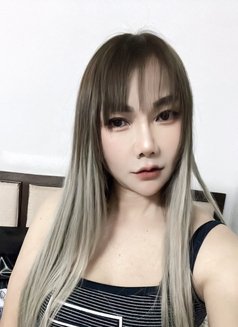 jasmin incall&outcall - puta in Chiang Mai Photo 8 of 8