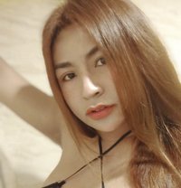 Jasmin - Transsexual escort in Ko Samui