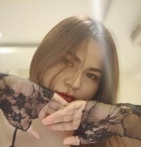 Jasmin - Transsexual escort in Ko Samui