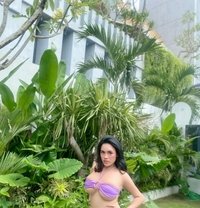 Jasmin Verstiel (TOP & BOTOM) - Acompañantes transexual in Jakarta