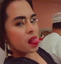 Jasmine 26 - Acompañantes transexual in Muscat