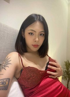 Jasmine Anal All Service - escort in Khobar Photo 6 of 6